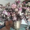 Arreglo Floral
