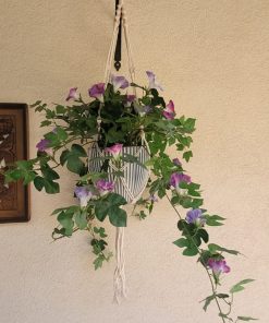 Planta artificial