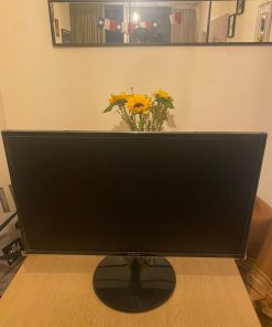 Monitor 