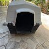 Casa Mascota