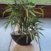 Planta Artificial