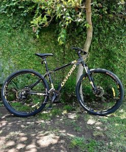 Bicicleta Mountainbike