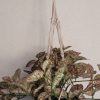 Planta artificial colgante
