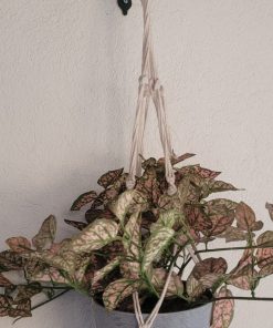 Planta artificial colgante