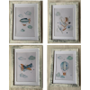 4 Cuadros Infantiles