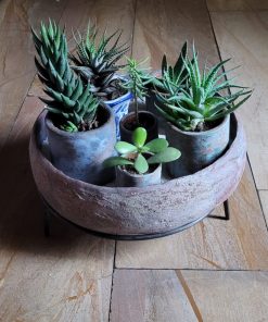 Decoracion cactus