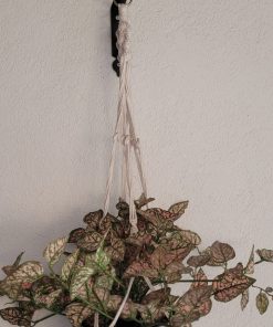 Planta artificial colgante 