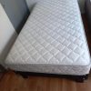 Cama
