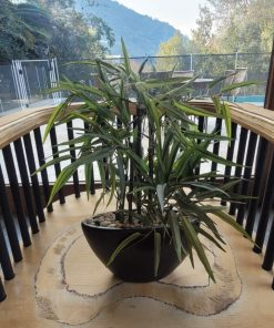 Planta Artificial 