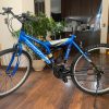 Bicicleta Opaltech Adventure