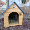 Casa Mascota