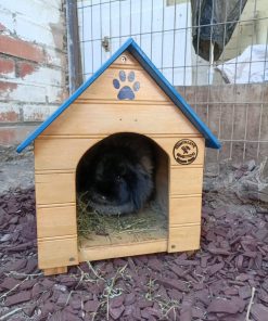 Casa Mascota 