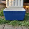 Cooler