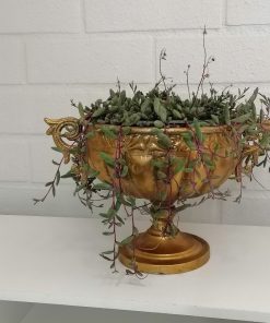 Copa 