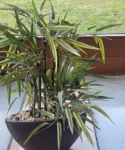 Planta Artificial