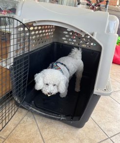 Caja Transportadora 