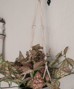 Planta artificial colgante