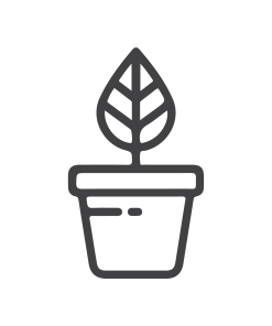 Plantas