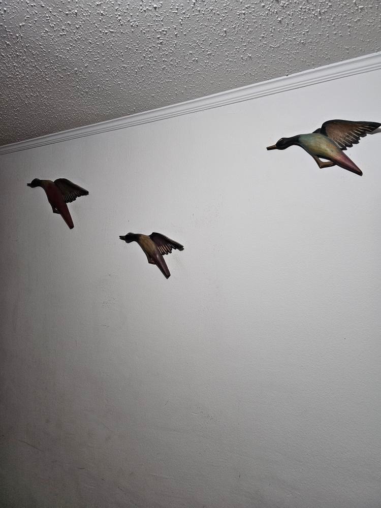 Set Patos - Imagen 2