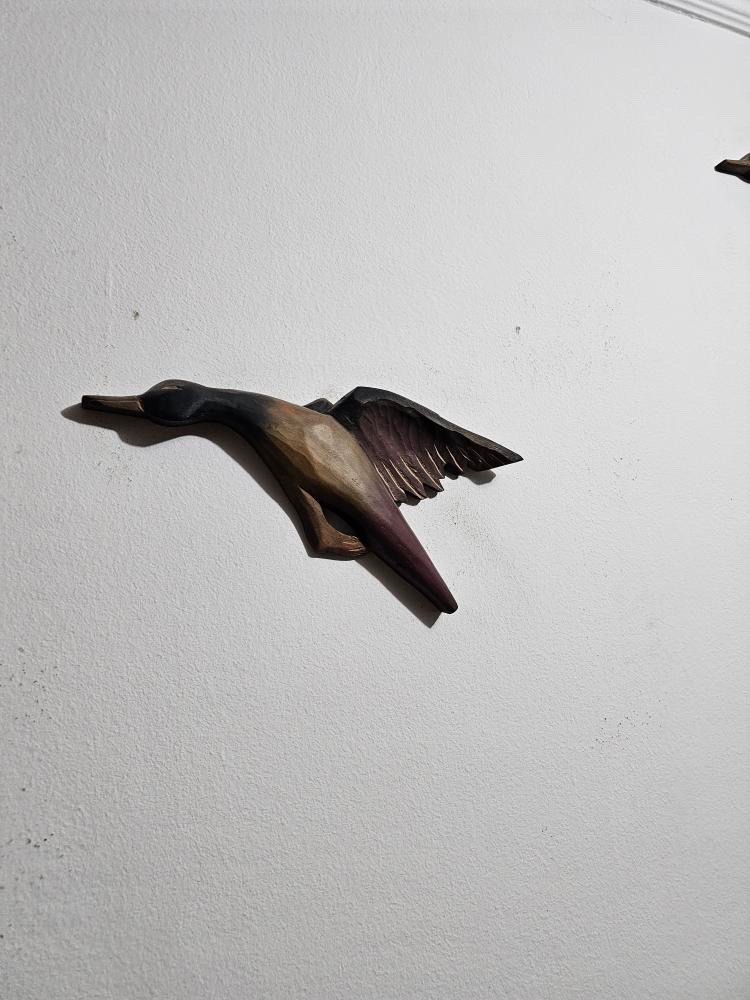 Set Patos - Imagen 4
