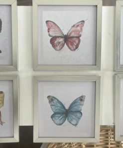 Set Cuadros Mariposas