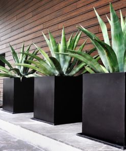 Maceteros Plásticos nuevos