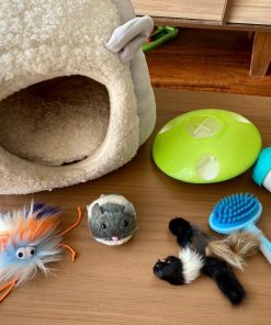 Set para gatos