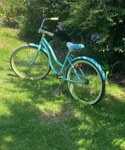 Bicicleta de paseo