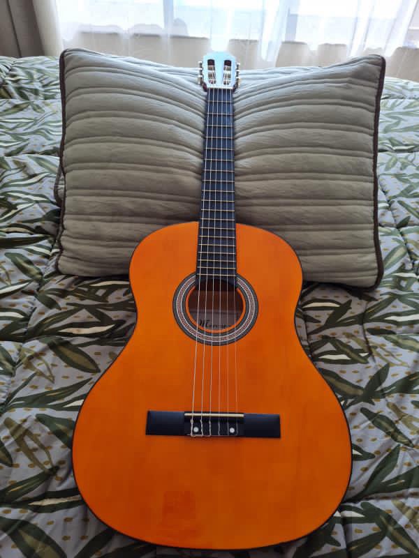 Guitarra Mercury