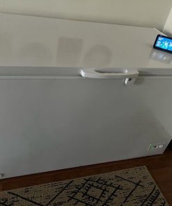 Freezer horizontal