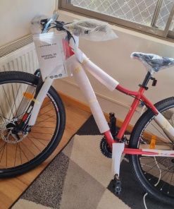 Bicicleta M