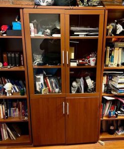 Vitrina y libreros