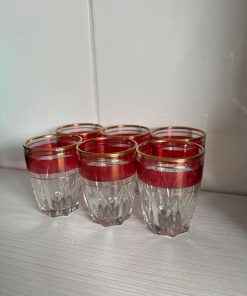 6 vasos shot