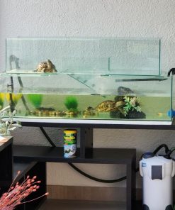 Acuario