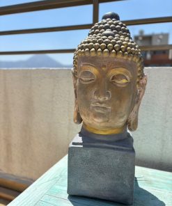 Buda Siddartha