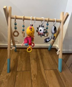 Gimnasio Montessori