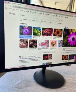 Monitor 23’