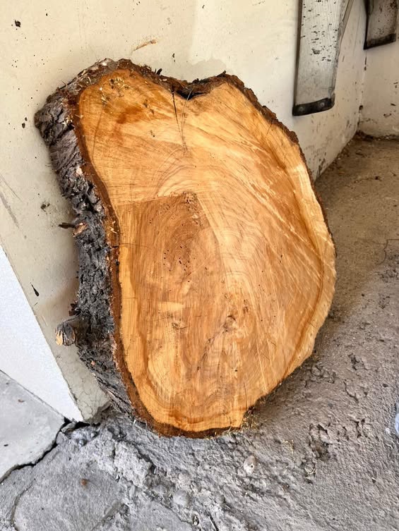 13 Tablas de madera