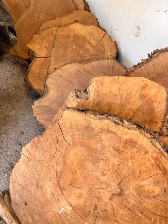 13 Tablas de madera - Imagen 2