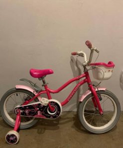 Bicicleta Oxford Aro 16 con ruedas
