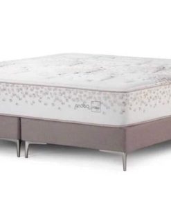 Cama King Rosen
