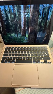MacBook Air Retina 13" 2020 256 GB SSD