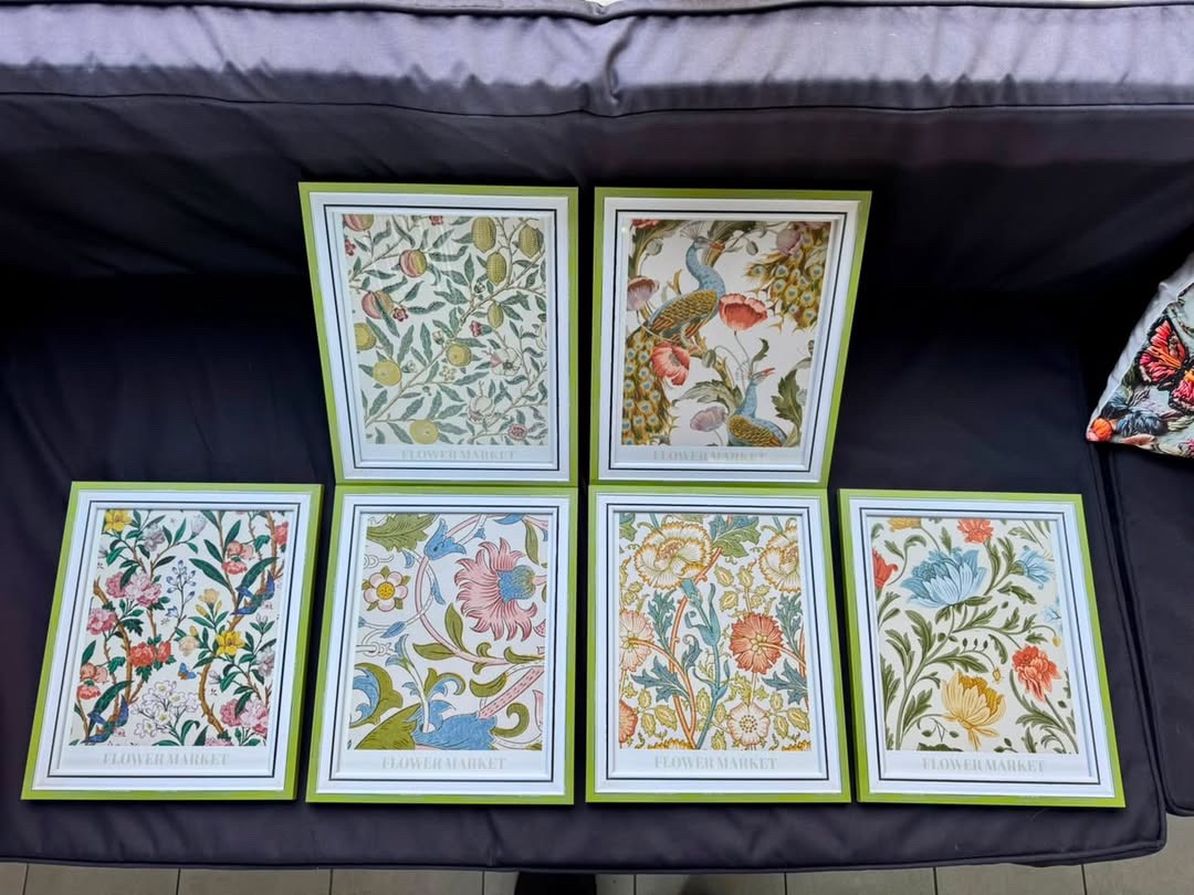 6 de set Cuadros enmarcados