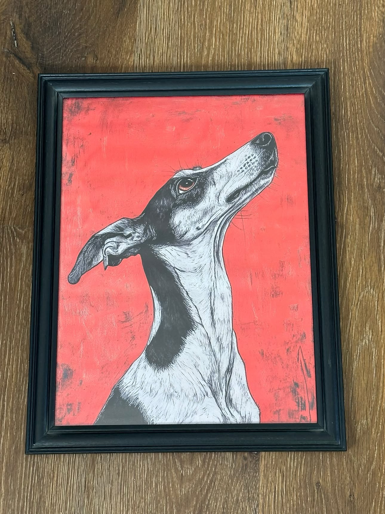 Cuadro Perro