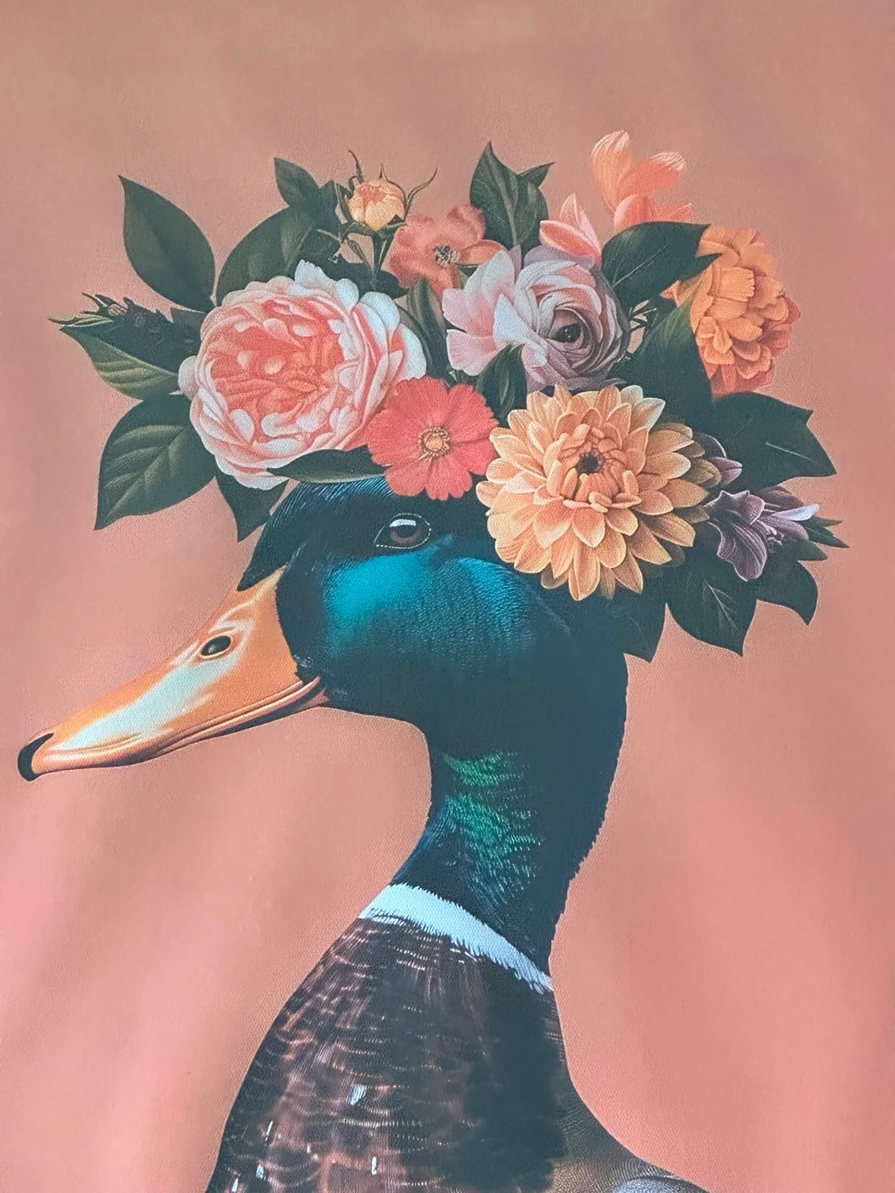 Cuadro Pato - Imagen 2
